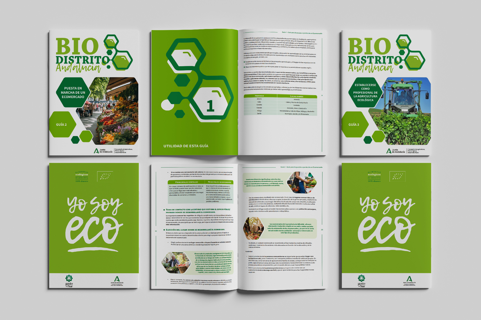 ENREDADERA-estudio_BIODISTRITOS-ANDALUCIA_Guias-Paginas