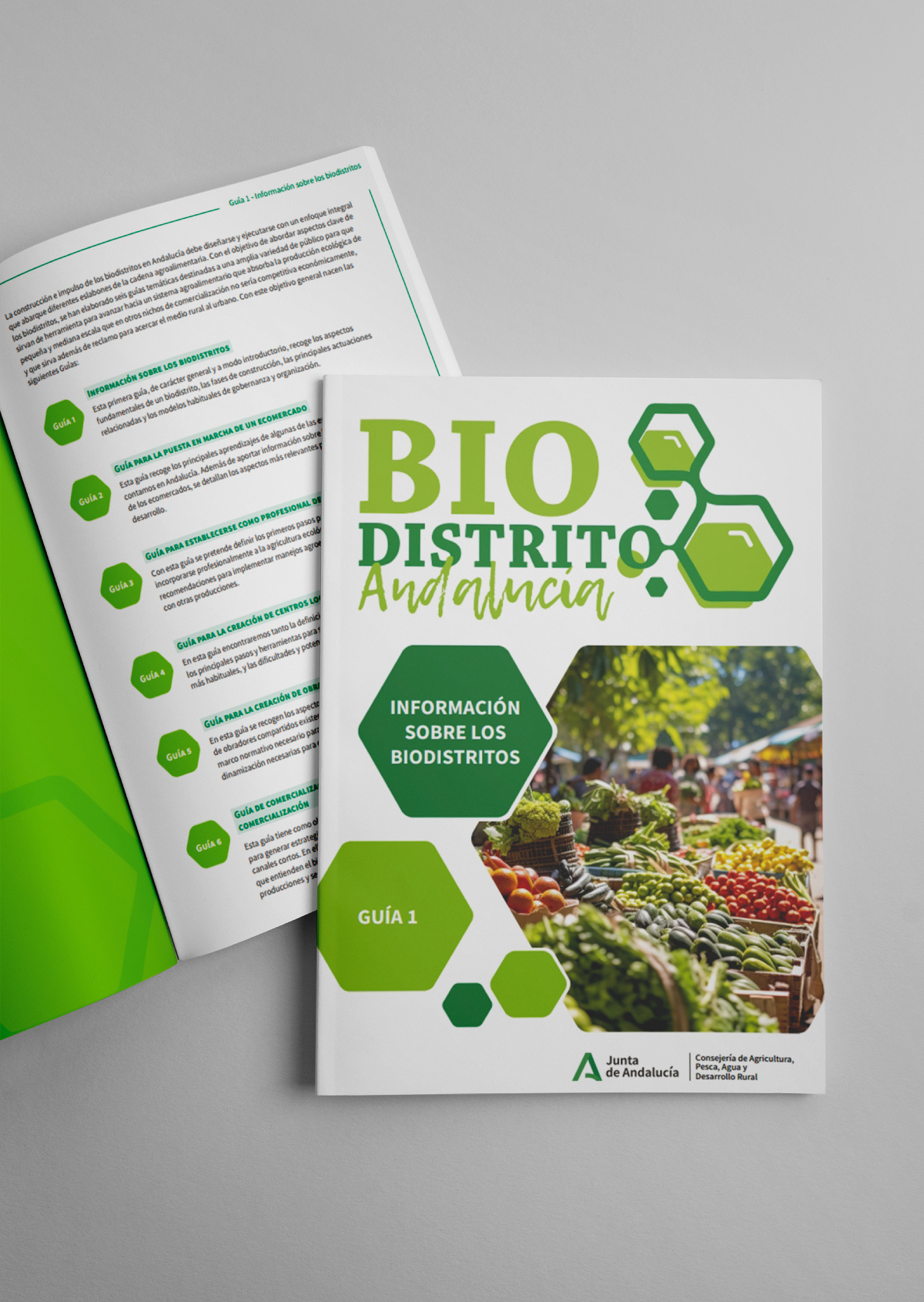 ENREDADERA-estudio_BIODISTRITOS-ANDALUCIA_Imagen-Proyecto-2