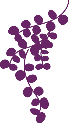 ENREDADERA-estudio_Detalle_Morado