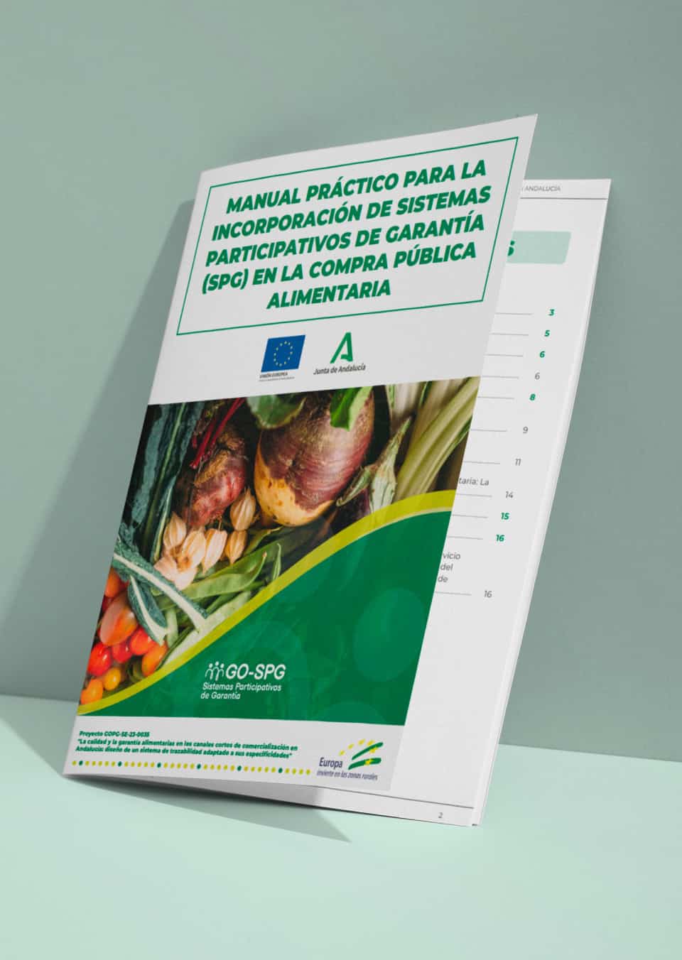 ENREDADERA-estudio_ISEC_SPG_Maquetaciones_Imagen-Proyecto